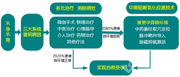 孕育微环境多元诊疗体系