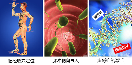 中美阻断氧化应激技术