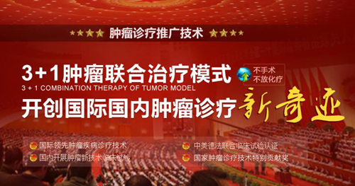刘伯齐教授受邀出席第九届中国肿瘤内科大会