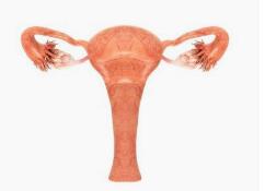 得了输卵管炎怎么治疗才能怀孕