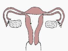 输卵管不通知其病因，才能做好预防