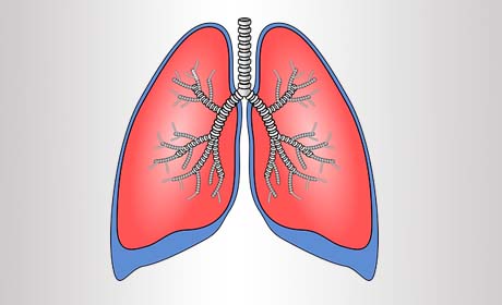 什么原因会引起肺气肿，如何护理