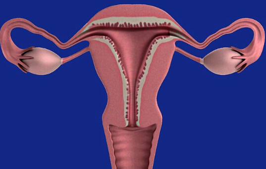 卵巢性不孕是怎么出现的呢?这些原因要知道