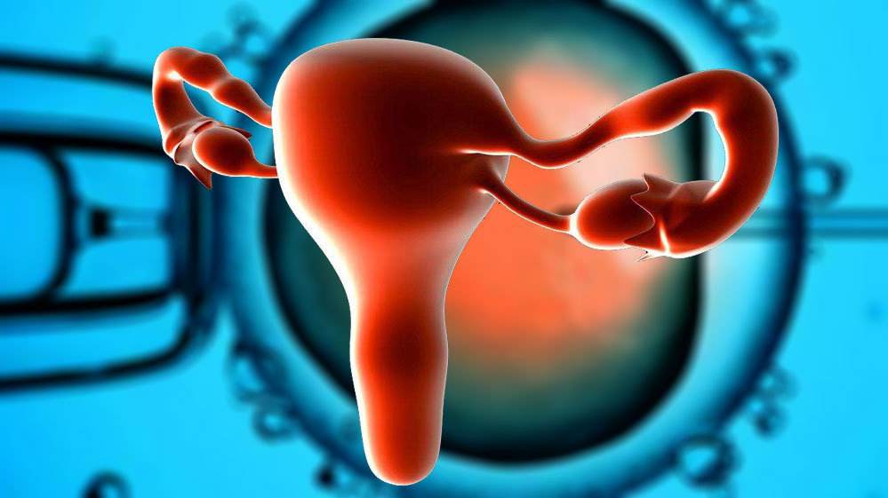 卵巢早衰的原因是什么？这几个原因你知道吗