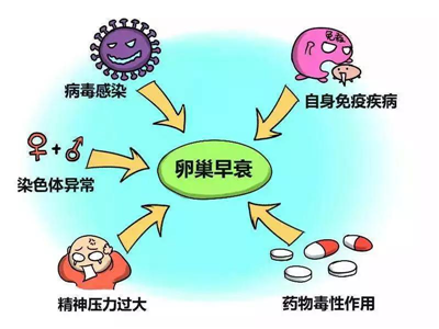 女性们怎么会发生卵巢早衰呢?我们怎么治疗它?