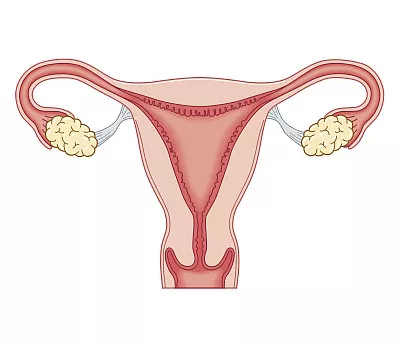 解输卵管堵塞的危害有哪些？你知道吗？