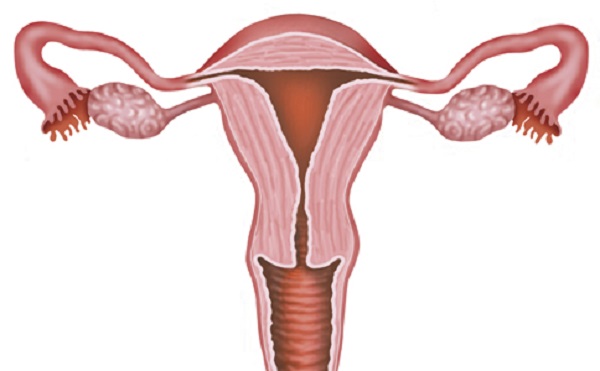 出现这6种情况，女性要做输卵管造影