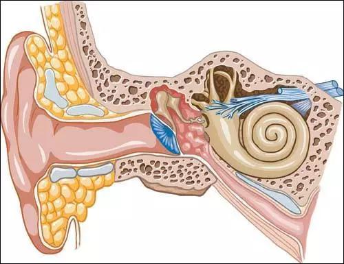 耳硬化症有什么表现？又应该如何治疗？
