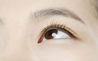  眼底疾病的有哪些症状表现？眼睛发出这几种信号你要注意了