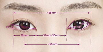 告诉你眼部整形的7大适应症是什么，眼部整形手术费用是多少？