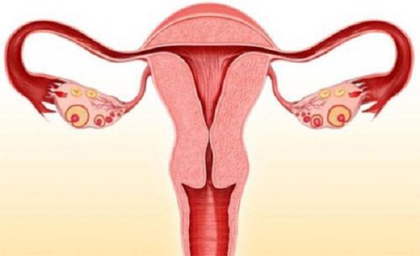 子宫性不孕的早期症状有哪些？