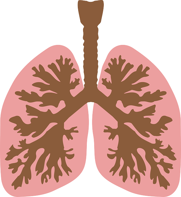 肺癌患者为何咳嗽不止?有哪些治疗方法?
