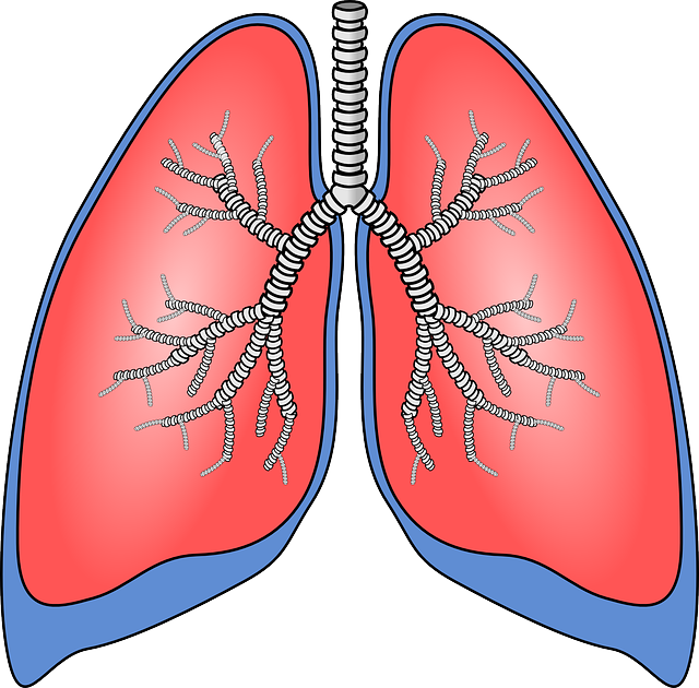 哪些是肺癌晚期出现的症状?这些一定要了解