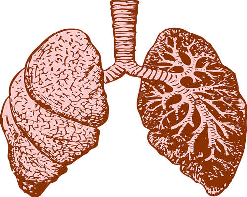 肺疾病晚期症状是什么?治疗期间的饮食事项有哪些?