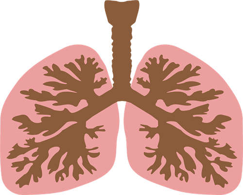 肺癌延长生命的方法是什么?如何有效的锻炼身体呢?