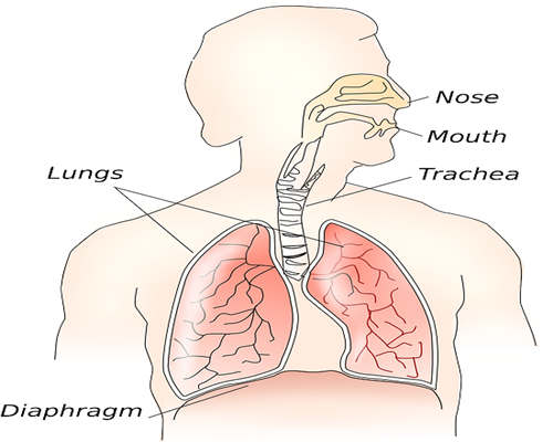 肺癌晚期怎么才能减少疼痛呢?这些方法要了解