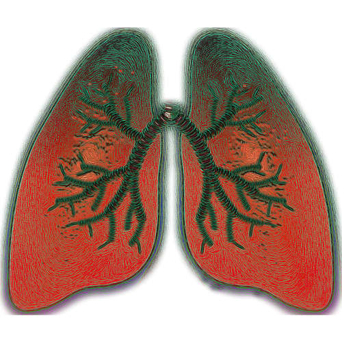 早期肺癌怎么来发现?这些知识能救命