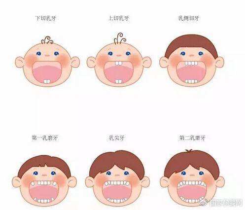 宝宝出牙期有哪些常见口腔问题哪