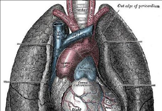出现尘肺病的早期症状，中医食疗可以缓解吗？