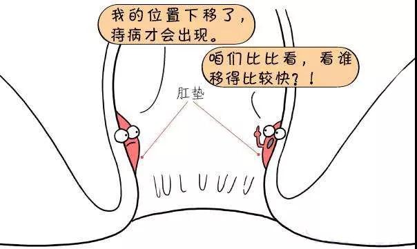 产后肛肠病--北京丰益肛肠医院：产后不得不说的三件“肛部事”