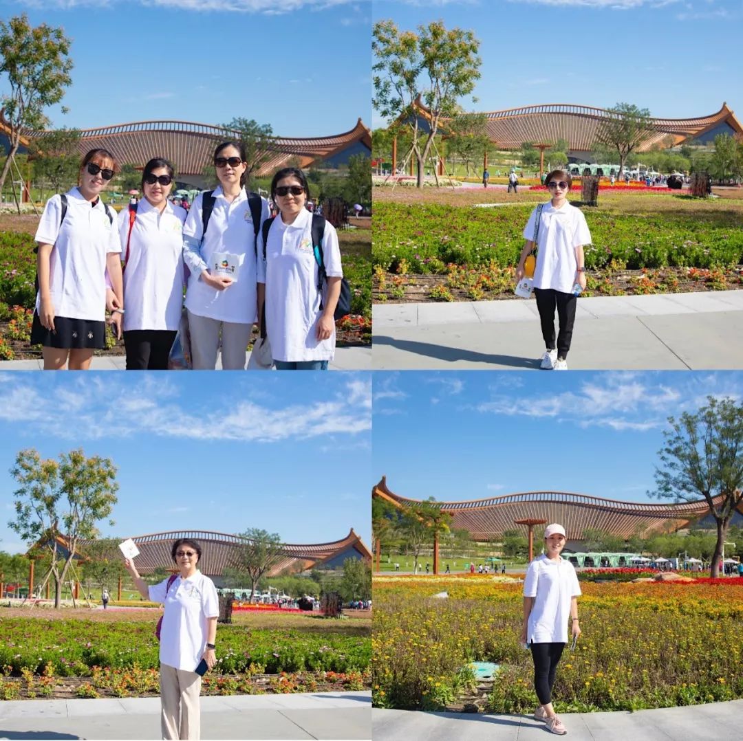 长城脚下的绿约 | 北京五洲妇儿医院组织员工参观世园会 