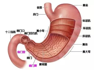 深圳远大肛肠医院|出现这些症状，可能表明你的胃有问题？