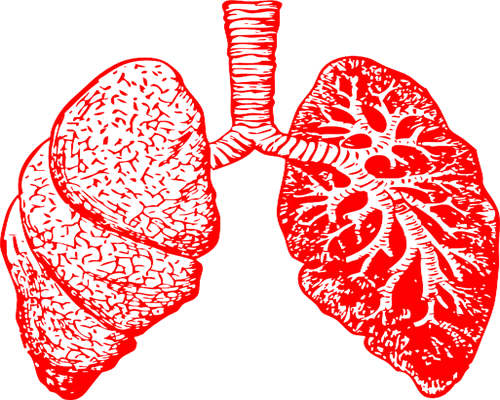 肺疾病的预防有哪些?可以引发哪些疾病?