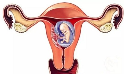 女性为何会患输卵管不通?需要怎么调理?