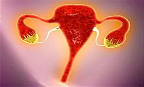 怎么证明输卵管是通的?输卵管堵塞的症状是什么呢?