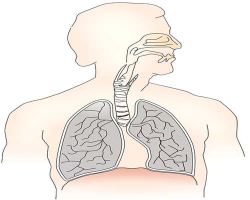 肺癌如何确诊，在这里给大家详细介绍一下