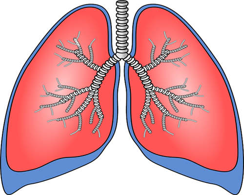 肺癌患者应该如何预防感冒，需要这样做