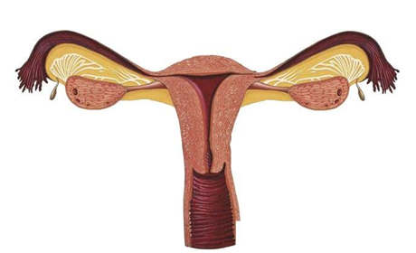 多囊卵巢女性提高受孕的方法有哪些?保健措施是什么呢?