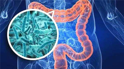 肠道疾病有哪些种类？发病时有哪些表现？