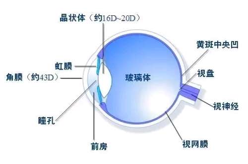 很多的眼部疾病都有致盲的危险，尤其是一些眼底疾病。