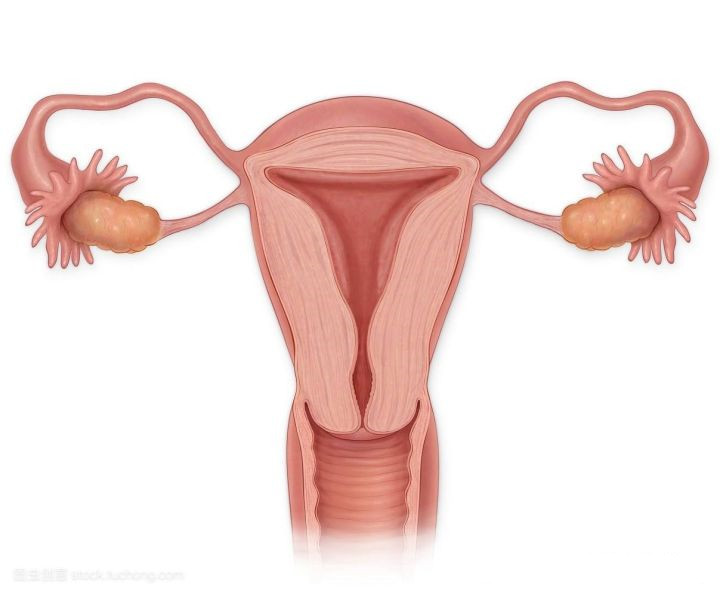 输卵管性不孕的“因果”，你了解吗？