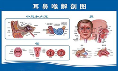 首大医院娄鸿飞：耳鼻喉疾病早期可以通过先兆自查