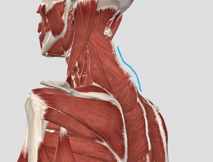 辟谣丨脖子难受，就是颈椎病？医生提示：真有可能证据不足
