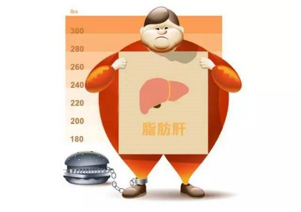 什么是脂肪肝，得了脂肪肝严重吗？