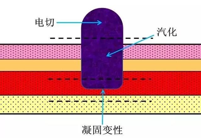 创新能手李爱华：泌尿外科领域的发明“达人”