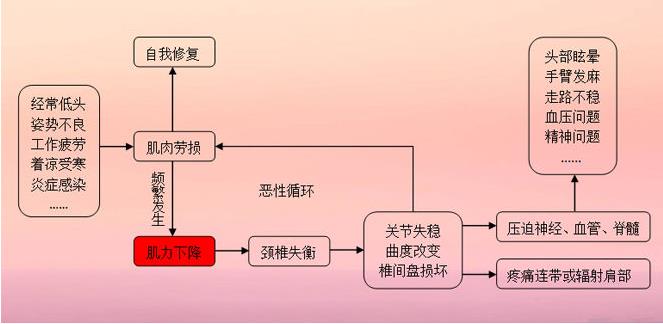 颈椎，为何成了原人的死穴？值得深思！一起来看看吧