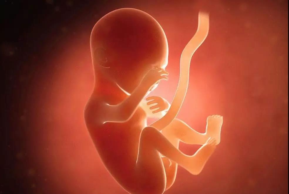 胚胎发育迟缓怎么办？