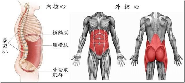 做到了这个，腰肌的疼痛消失了！