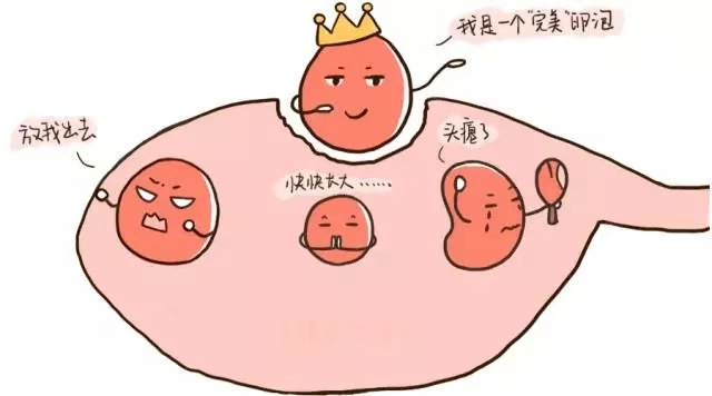 新协和专家解答卵泡成熟不破怎么做才能成功受孕
