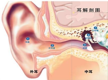 耳朵长了痘痘，为什么会那么疼？