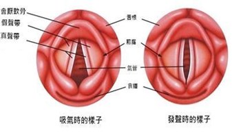 北京哪个医院治声带息肉好，常年声带息肉的危害