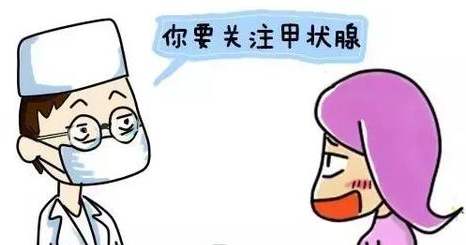 甲状腺下降、气血不足、手脚冰凉、畏寒怕冷且失眠多梦，有什么办法改善？