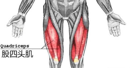 大腿肌肉突然疼痛，可能是什么病？