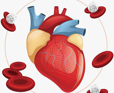 心脏病的原因有哪些？有哪些先兆？