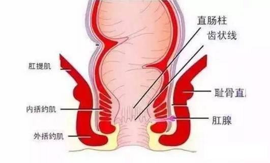 肛肠疾病别扛着，这六种症状一定要去医院！