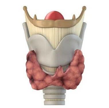 大部分甲状腺结节是良性的,但是,这样的结节有可能是甲状腺癌
